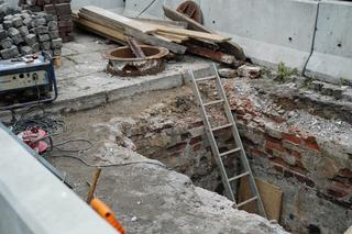 Niedawno obchodziliśmy jej siódme urodziny. Ósmych już nie będzie…