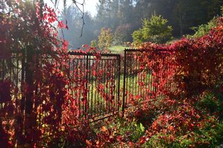 To najstarszy i najpiękniejszy park narodowy w Polsce. Warto odwiedzić go właśnie jesienią