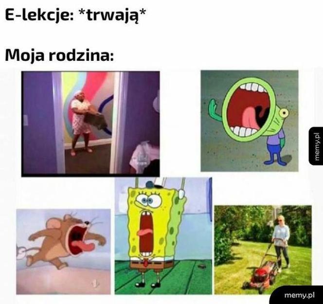 Zdalne lekcje i najlepsze memy. Kreatywność internautów nie zna granic!