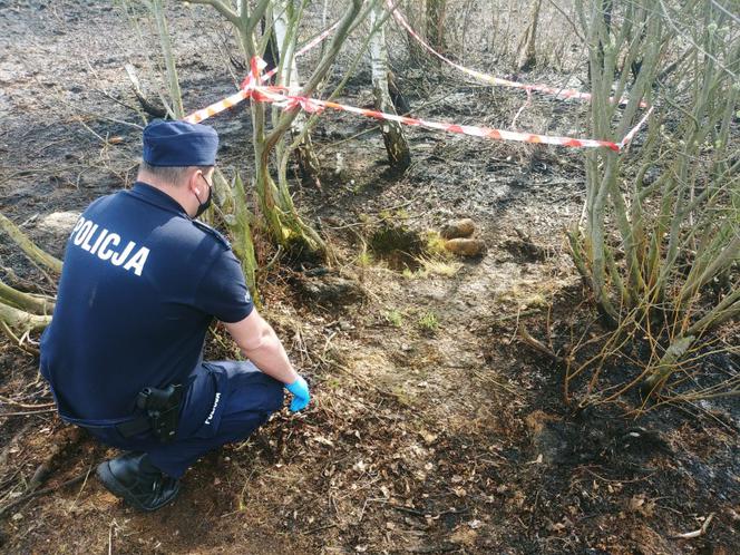 Pożar ujawnił groźne niewybuchy! Na miejsce wezwano saperów [ZDJĘCIA] 