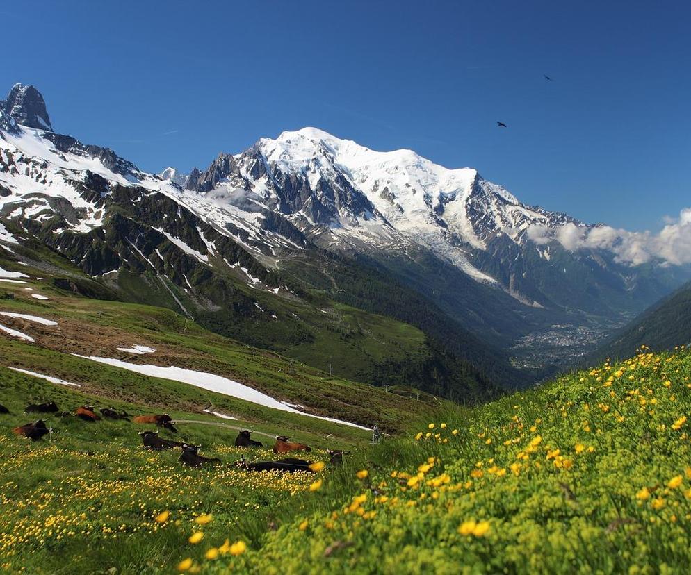 Mont Blanc w 2 lata zmalał o 2 metry