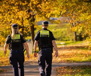  Jesienne porządki mogą słono kosztować. Za palenie liści grozi wysoki mandat