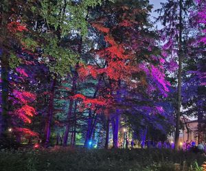 Olsztyn zamienił się w magiczną krainę. Park Świateł przyciągnął tłumy!