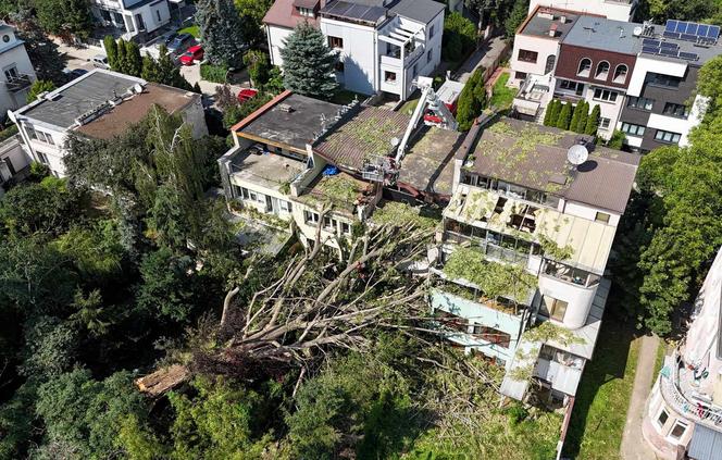 Burze i nawałnice nad Polską. Miażdżące dane, pogoda jak z koszmaru