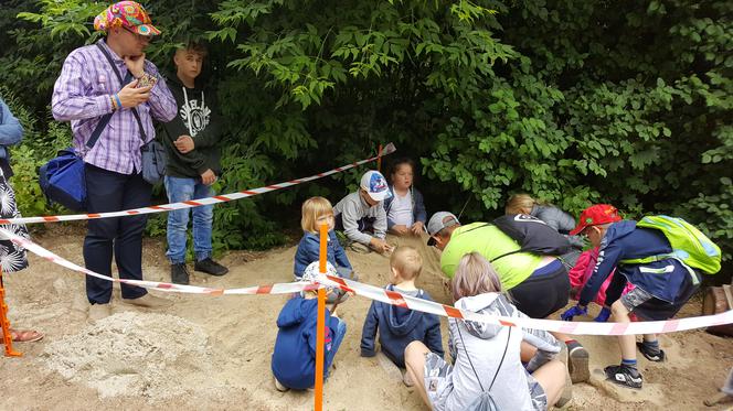 Mali archeolodzy zakasali rękawy i zabrali się do pracy! Co znaleźli w bydgoskim zoo? 