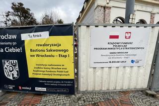 Wzgórze Partyzantów coraz piękniejsze! Trafiono na kolejne odkrycie [ZDJĘCIA]