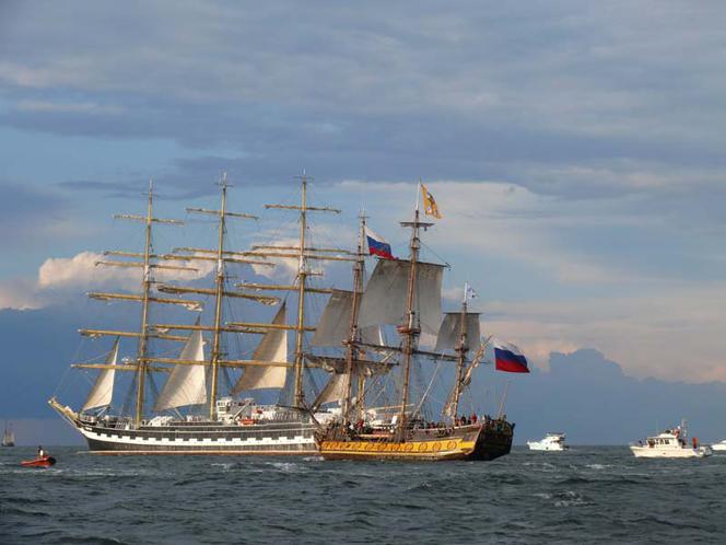 ParadaZagleGdyni2014_FotMZwierz_710346