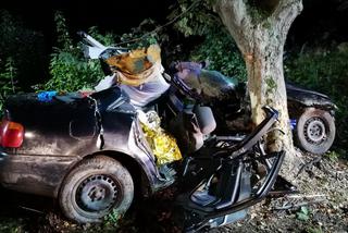 Tragiczny wypadek pod Braniewem. Audi wbiło się w drzewo. Nie żyje 19-latek [ZDJĘCIA]