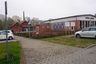 W samym centrum Olsztyna powstało… prawdziwe pole. O co chodzi?