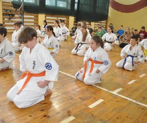 Akademia Karate w Skarżysku. Certyfikaty na wyższe stopnie dla wychowanków klubu