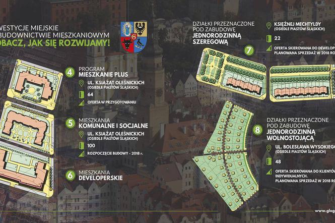 grafika: UM Głogów