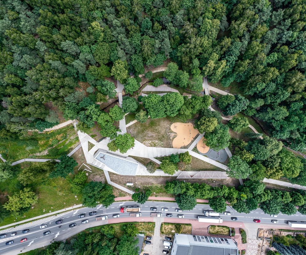 Widok z lotu ptaka na zrewitalizowany Park Miejski w Starachowicach autorstwa eM4. Pracownia Architektury. Brataniec, z widocznymi alejkami, placem zabaw i zielenią leśną, sąsiadujący z ruchliwą ulicą. O projekcie przeczytasz na Architektura Murator Plus.