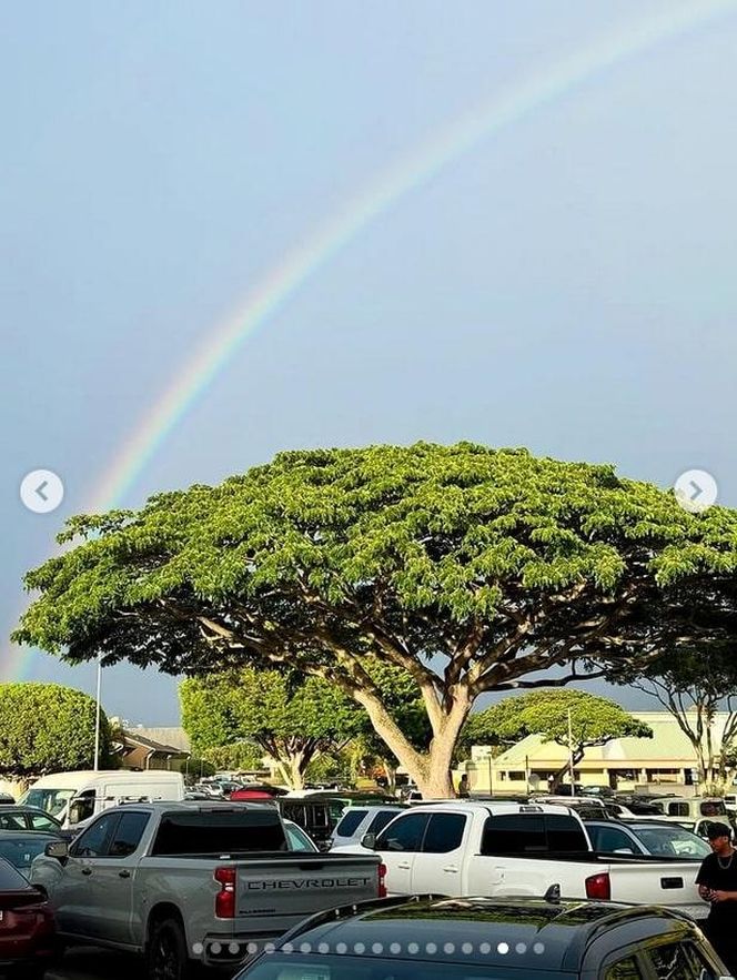Ten wpis Anity Werner poruszył tysiące osób. Nikt się tego nie spodziewał!