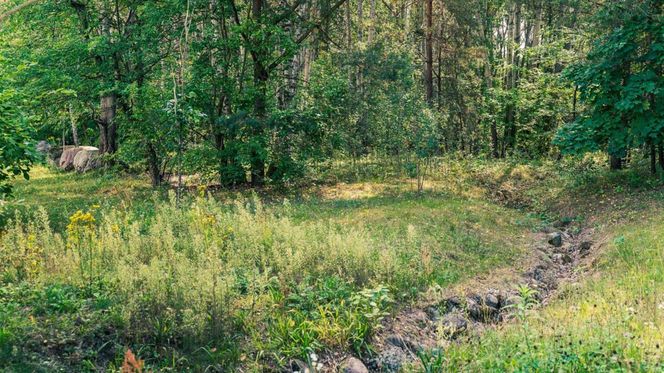 Zapomniane miejsce ożyje! Białystok buduje Park Bioróżnorodności za miliony