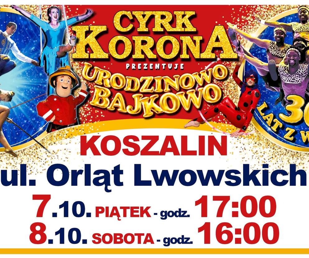 cyrk korona