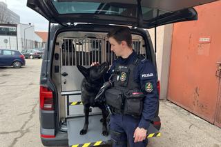 Małopolscy policjanci otrzymali radiowozy służące do przewozu psów służbowych