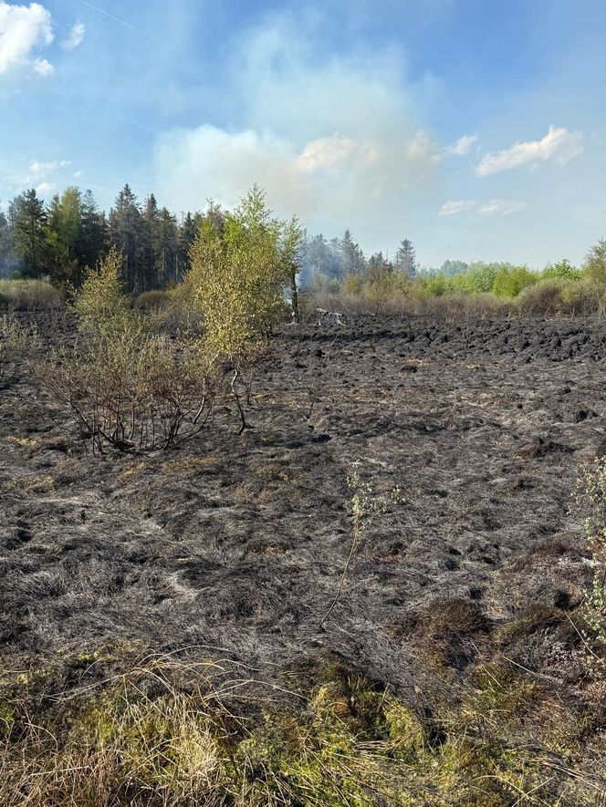 Duży pożar na pograniczu polsko-słowackim. Na miejscu pracuje wiele zastępów straży pożarnej