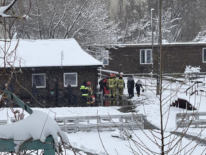 Dramat na Pradze. Namiot cyrkowy zawalił się pod naporem śniegu