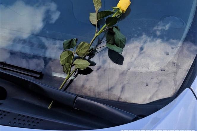 Żółta róża dla wrocławskich policjantów. Kto ją tam zostawił? 