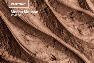 Mocha Mousse - Kolor Roku 2025