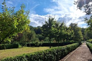 Arboretum Bramy Morawskiej zachwyca jesienią