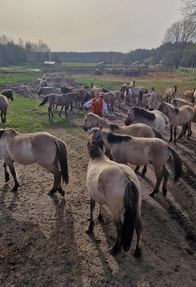 Były minister rolnictwa Robert Telus wziął udział w wielkanocnej procesji