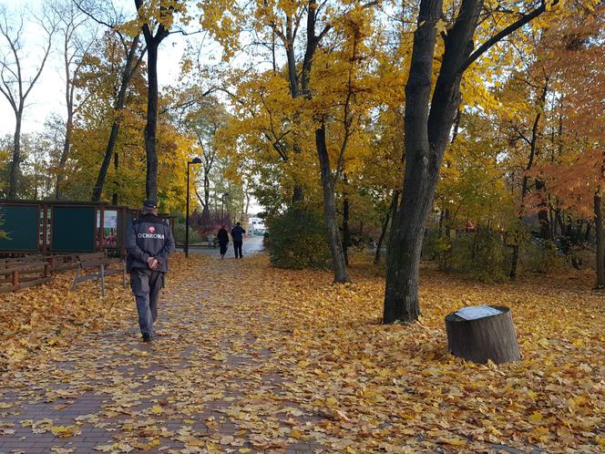 Park 1000-lecia w Lesznie na chwilę przed zachodem słońca