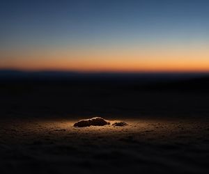 Zaginął czteroletni Gus z Australii. Czy jeden ślad wprowadza w błąd?