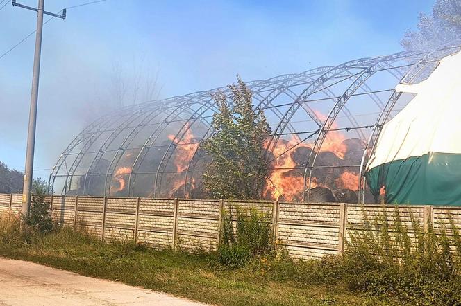 Pożar pod Krosnem Odrzańskim