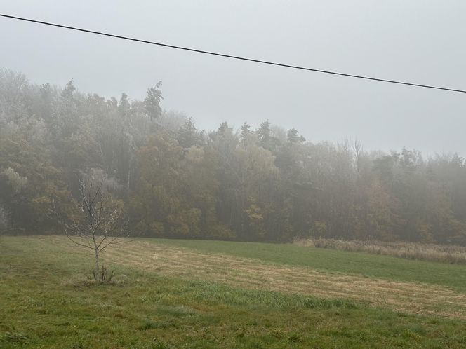 Najpiękniejsza wieś w Małopolsce zachwyca także jesienią. Leży na Szlaku Orlich Gniazd