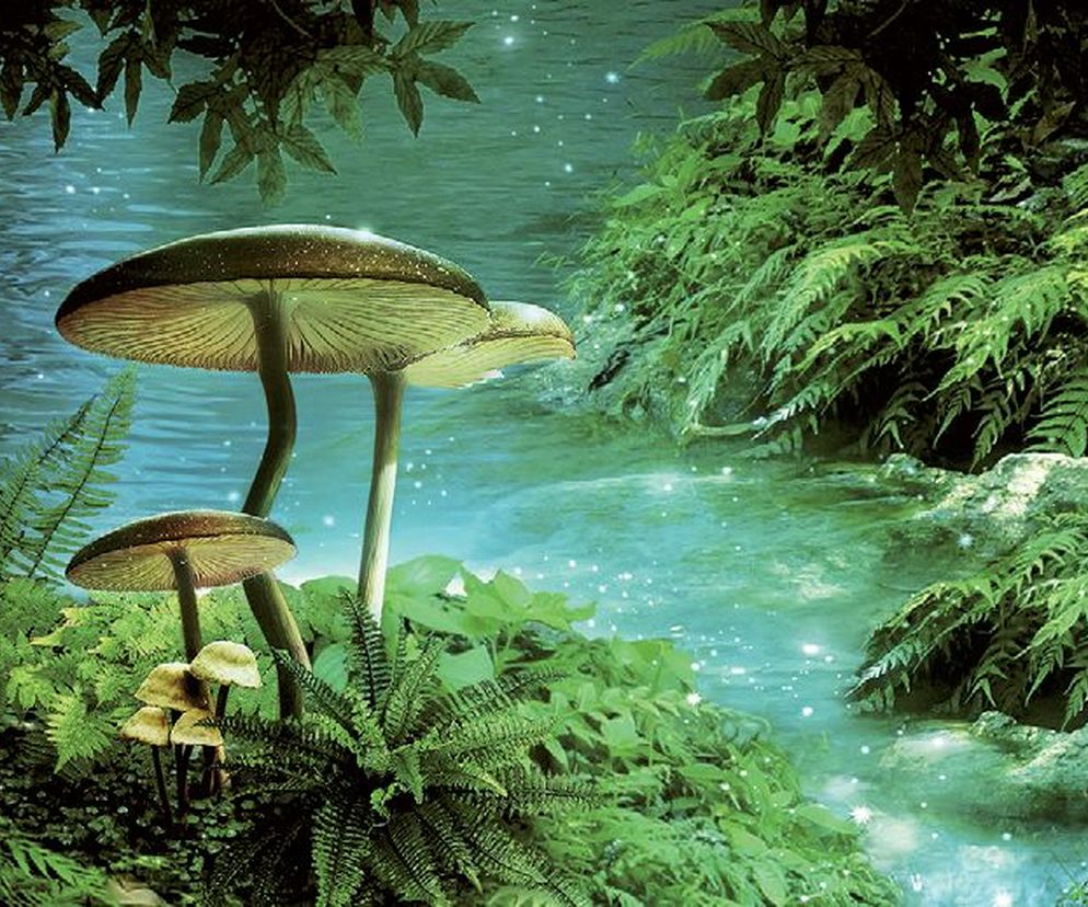 9 mitów na temat trujących grzybów i zatruć