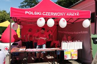 XII Kaliskie Miodobranie za nami 