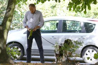 Tusk sprząta po psie