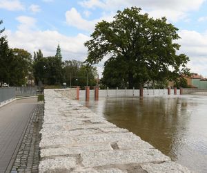 Fala kulminacyjna przepływa przez województwo lubuskie. Tak wygląda Krosno Odrzańskie