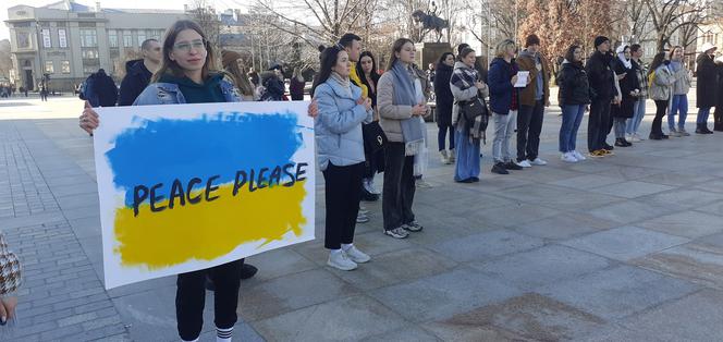 Ukraińcy manifestowali na Placu Litewskim [WIDEO]