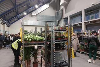 Festiwal Roślin w Rzeszowie [GALERIA]