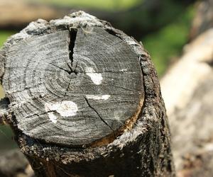 Drewniana kłoda runęła na 13-latka! Horror koło Nysy