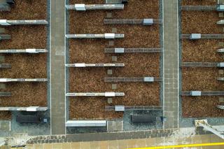 Upamiętnienie cmentarza ewangelickiego w Olsztynie 