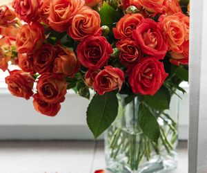 Ocet czy aspiryna? To działa jeszcze lepiej na cięte róże w wazonie. Postoją aż dwa tygodnie dłużej. Pielęgnacja kwiatów ciętych