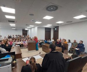 Wilki na ławie oskarżonych.