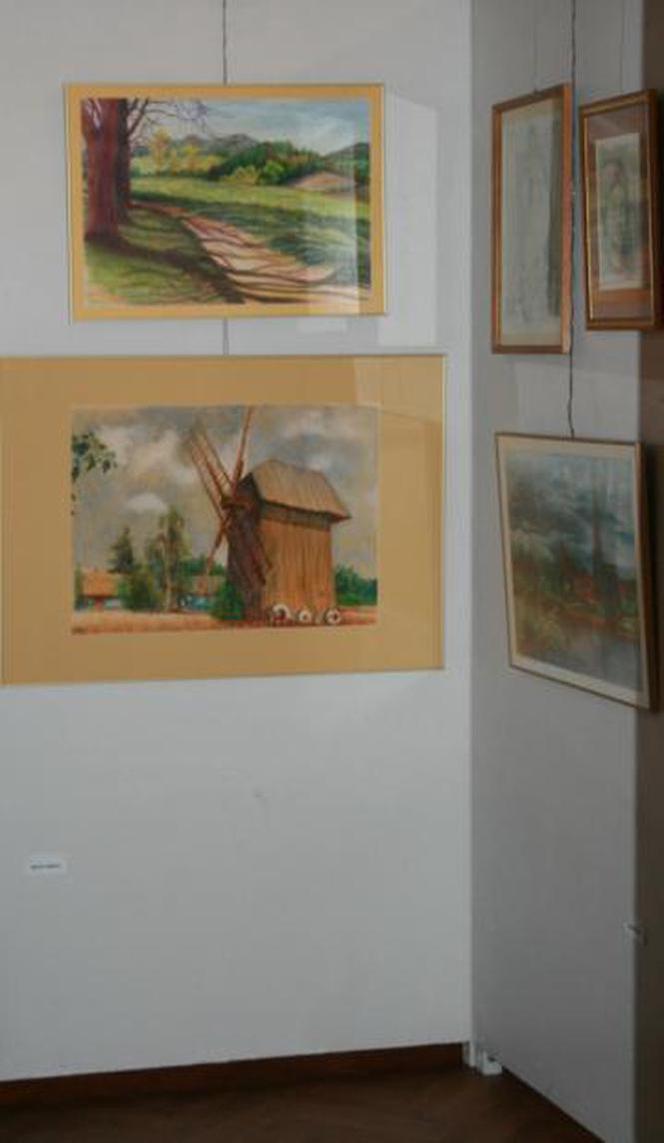 19 maja - 3 czerwca 2009 r. - XXXX Wystawa Rysunku, Malarstwa i Fotografii w pałacu Zamoyskich w Warszawie