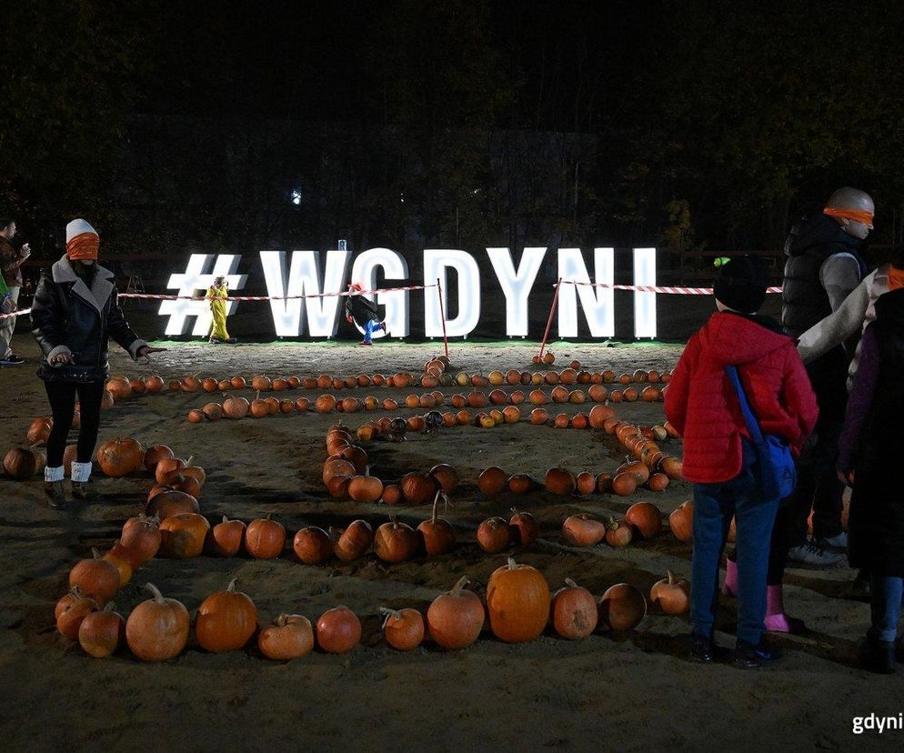 Dynia w Gdyni. Noc pełna przygód. Zapisz się już dziś!