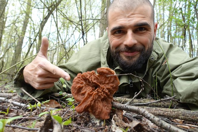 Zbiory Piotra Grzesia - twórcy bloga "Grzybów znawca"