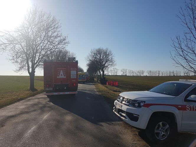 Tragedia na drodze pod Nysą. Samochód wjechał w drzewo. Nie żyją cztery osoby