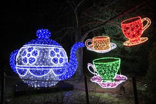 Park iluminacji „Tajemniczy Ogród” w Lublinie