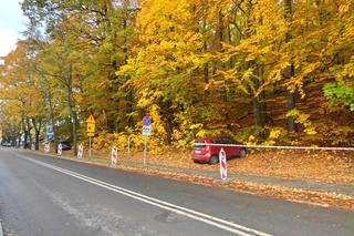 Wszystkich Świętych w Trójmieście. Zmiany w komunikacji