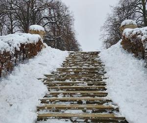 Zamojski Park pod śniegiem
