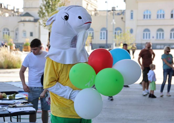 Animacje, najdłuższy autobus w kraju i inne atrakcje. Tak wyglądał Dzień bez Samochodu w Lublinie