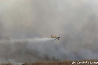 Pożar w Biebrzańskim Parku Narodowym. Samoloty z Portu Lotniczego Olsztyn-Mazury na ratunek