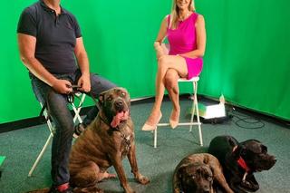 Jacek Rozenek dzięki psom stanął na nogi